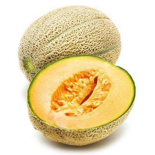 Rockmelon – Hilltop Fruit
